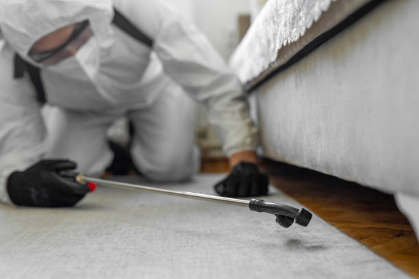 Professional Emergency Pest Control technician working in North Wildwood, NJ