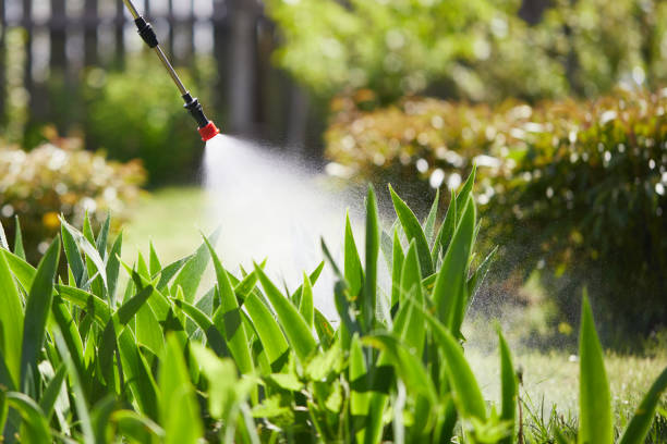 24/7 Emergency Emergency Pest Control experts in North Wildwood, NJ