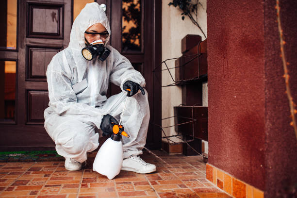 Reliable Emergency Pest Control contractor in North Wildwood, NJ by Nex Pest Control