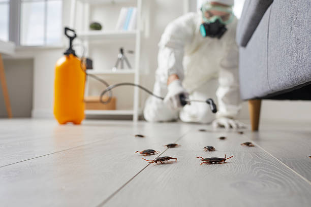 Trusted Emergency Pest Control service in North Wildwood, NJ - Nex Pest Control