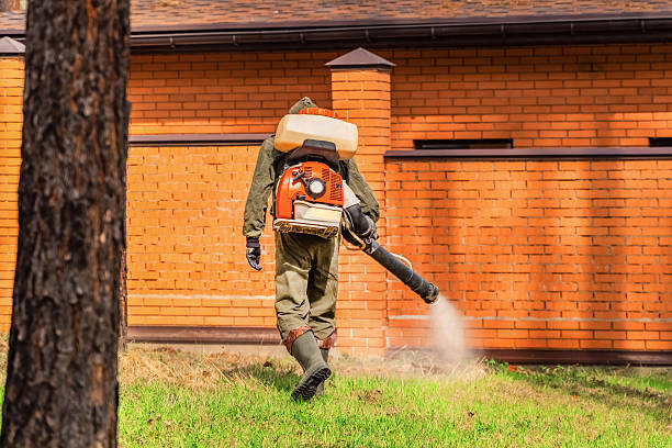Trusted Rodent Control service in North Wildwood, NJ - Nex Pest Control